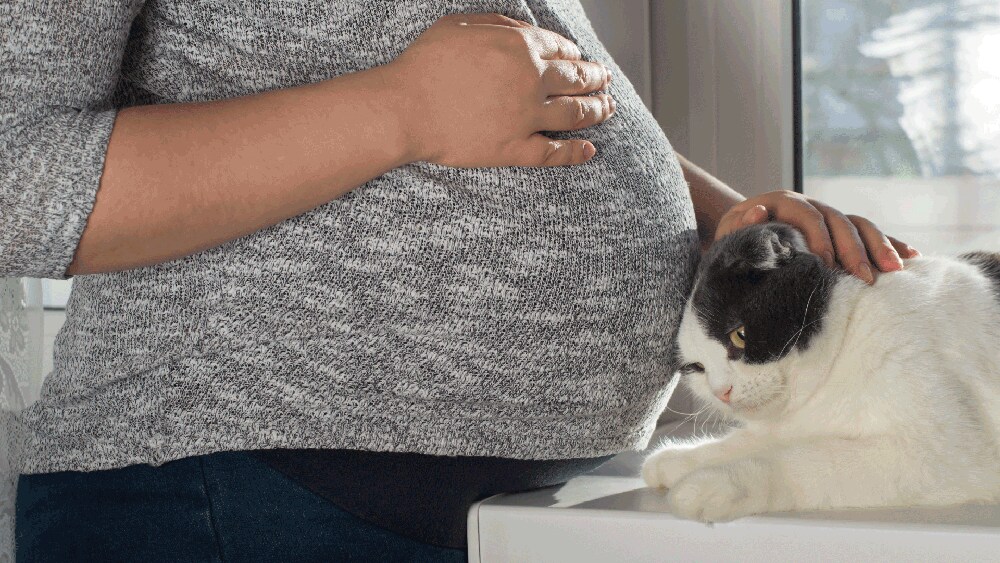 Learn how to stay healthy around pets and other animals while pregnant |  Healthy Pets, Healthy People | CDC