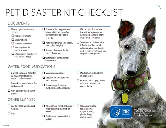 Pet Disaster Kit Checklist with a dog on the cover of the checklist