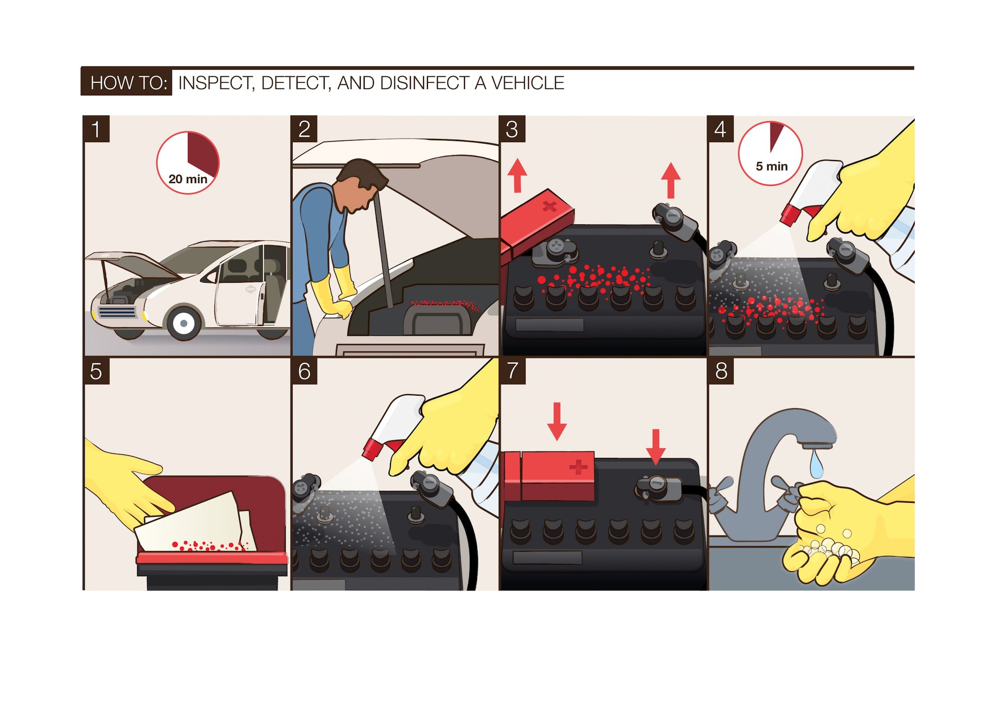 An illustration showing how to inspect, detect, and disinfect a vehicle