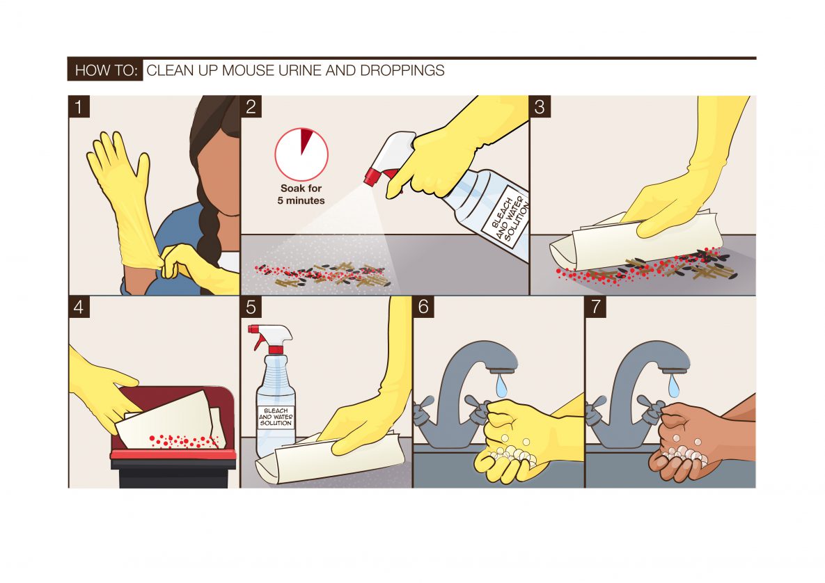 How to Properly Clean a Fish Kill Bag in 5 Steps