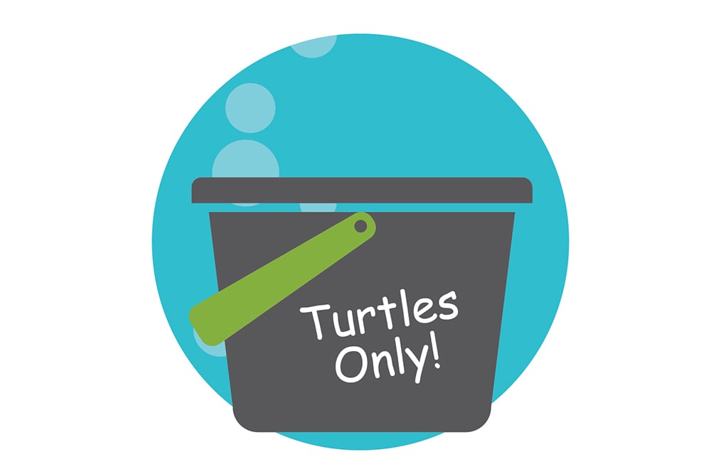 A bucket illustration with the word turtles only on the side of it