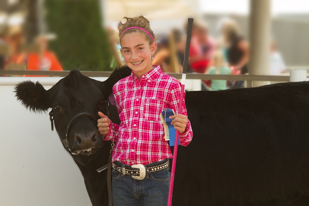 Blonde girl in pink at a county fair next to a black cow