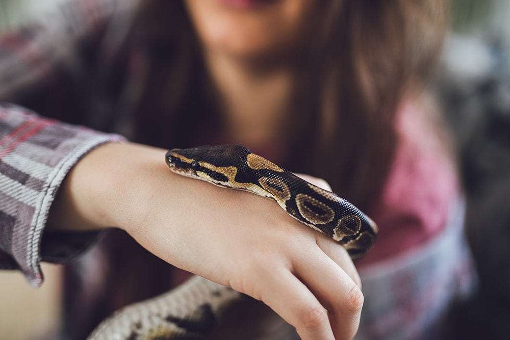 young woman holding snake