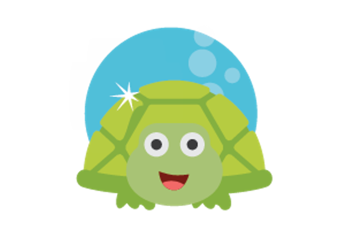 Illustration of tiny turtle