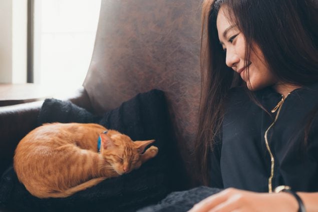 Closeup image of a beautiful Asian woman sitting on sofa and looking at a little brown cat while its sleeping on a black pillow
