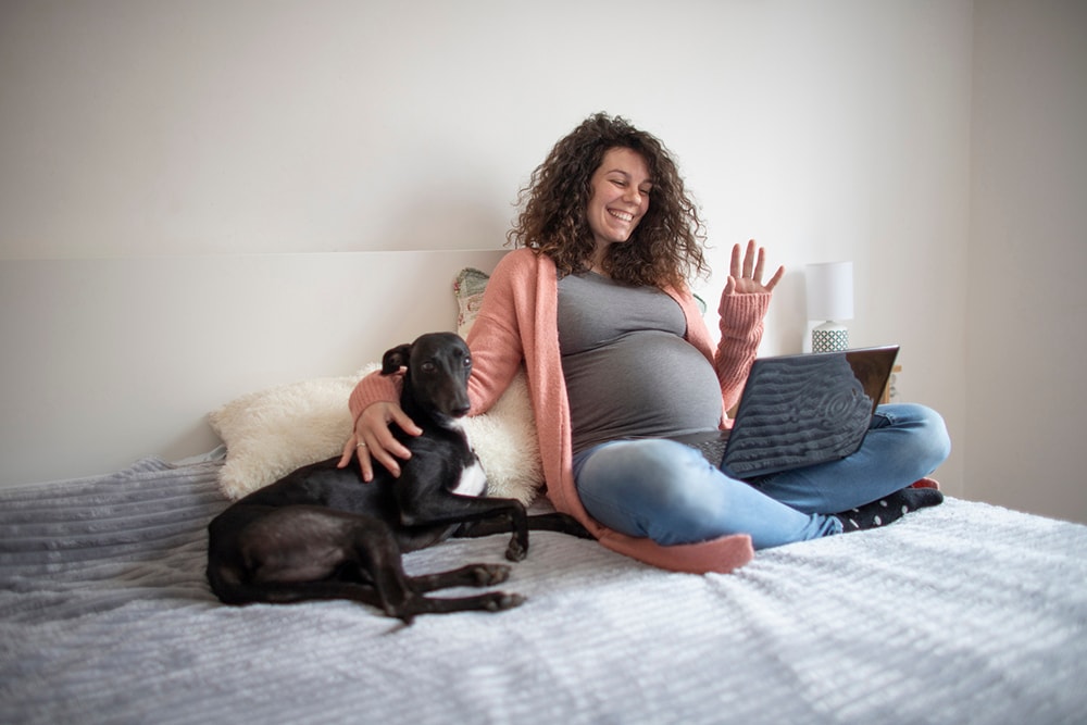 Pregnant woman having video conference with her dog next to her