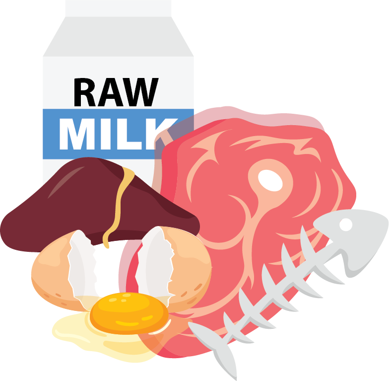 Illustration of raw milk and meat