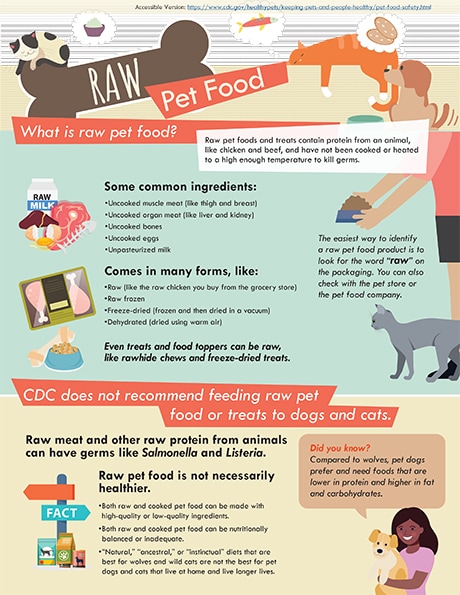 Sick Dog, Special Diet: A Guide to Feeding Your Dog When They Are