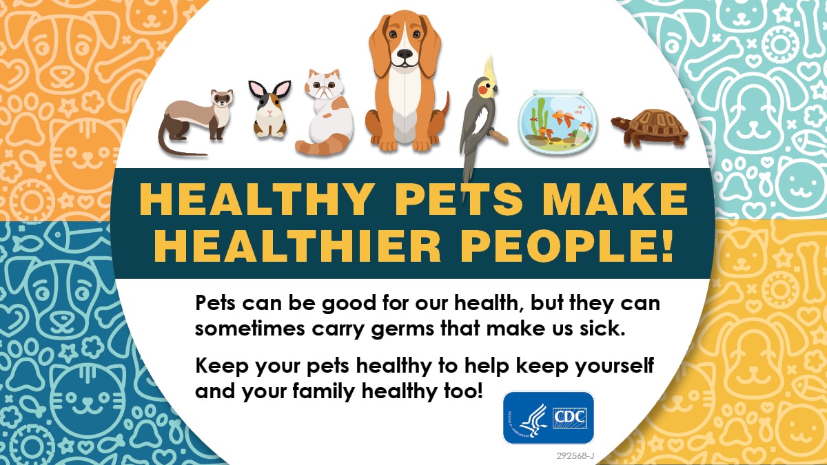 Healthy Pets Make Healthier People!