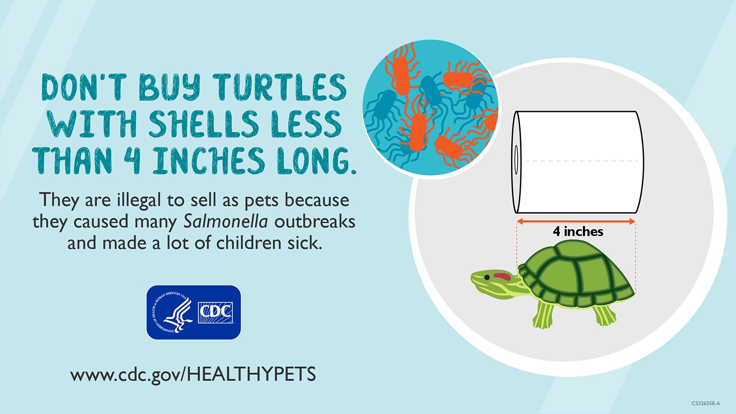 Graphic showing to not buy turtles with shells less than 4 inches long with a turtle compared to a roll of toilet paper.