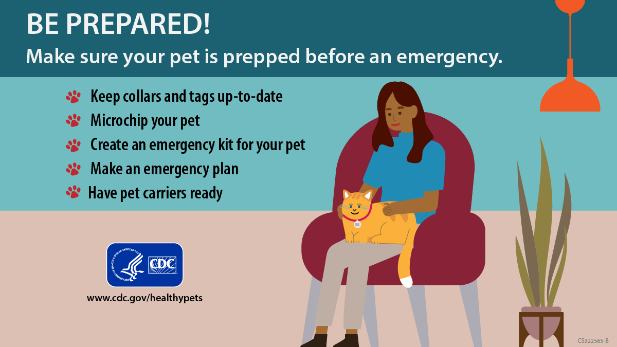 Facebook and twitter post to Instagram post to make sure your pet is prepped before an emergency