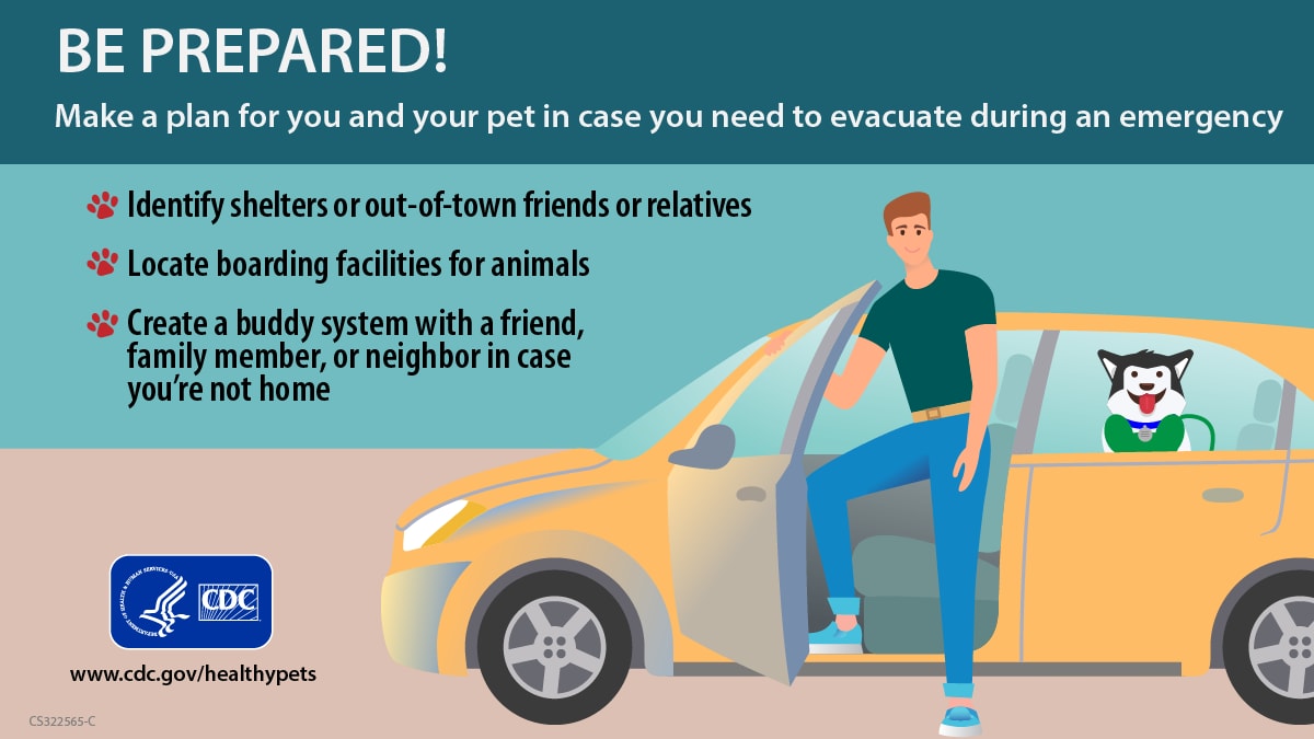 Facebook and twitter post to Instagram post to make a plan for you and your pet in case you need to evacuate in an emergency