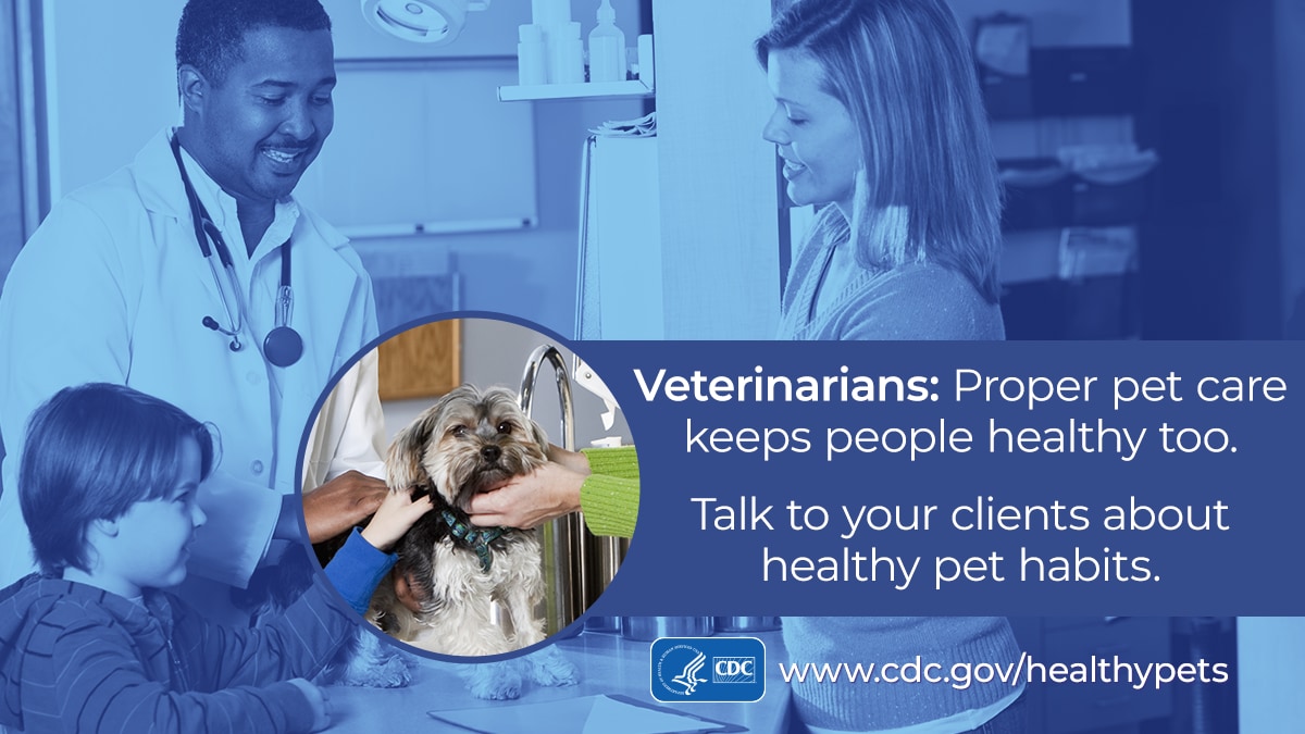 Pet week banner for veterinarians