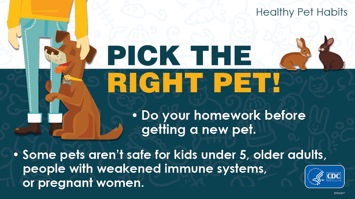 Social Media Graphic: Pick The Right Pet