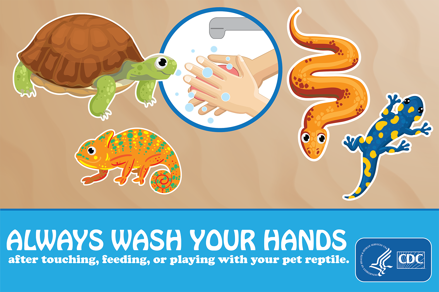 Sticker saying Always Wash Your Hands After Touching, Feeding, or Playing With Your Pet Reptile