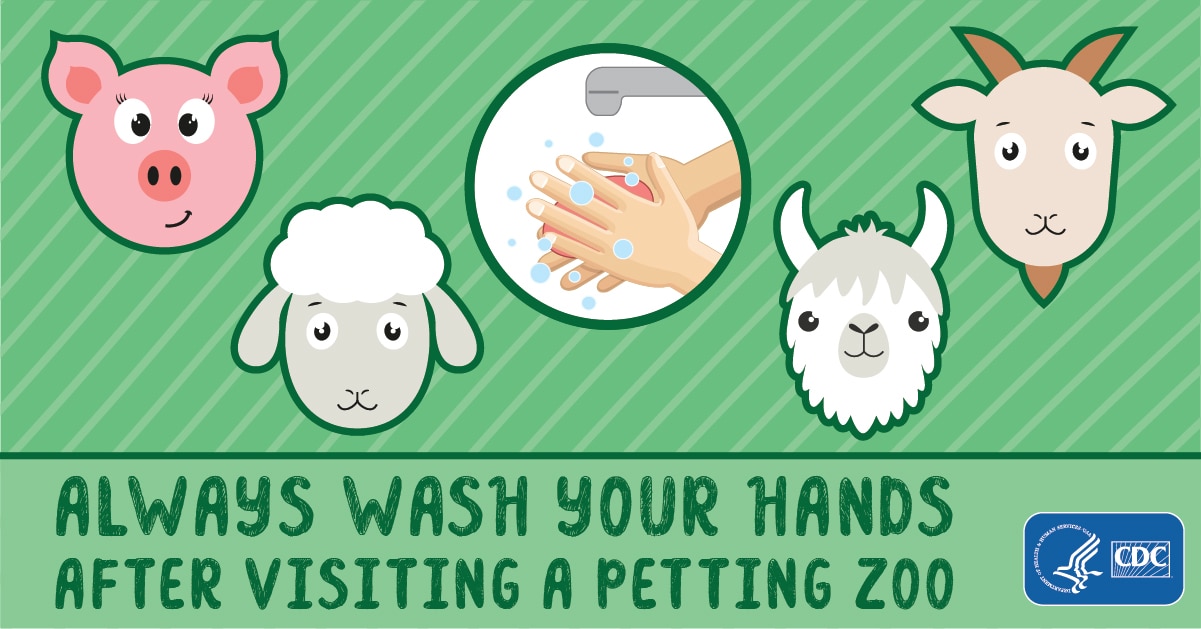 Always Wash Your Hands After Visiting A Petting Zoo for Facebook