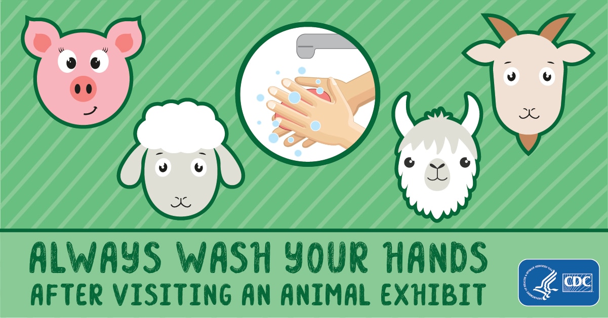 Always Wash Your Hands After Visiting an Animal Exhibit for Facebook