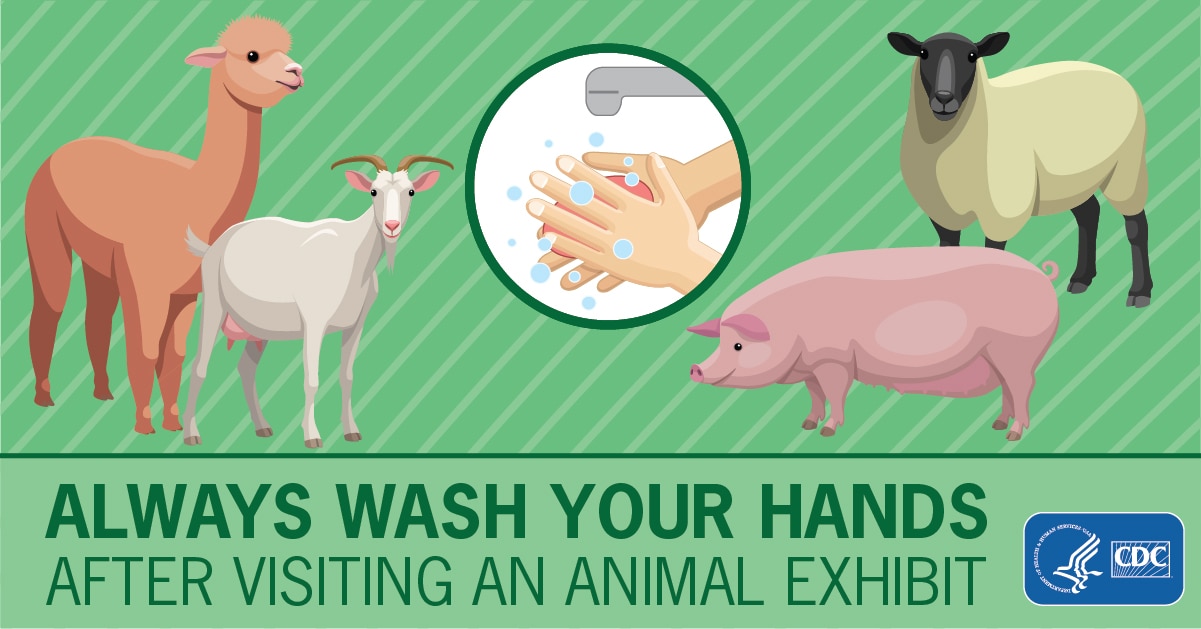 Always Wash Your Hands After Visiting an Animal Exhibit for Facebook