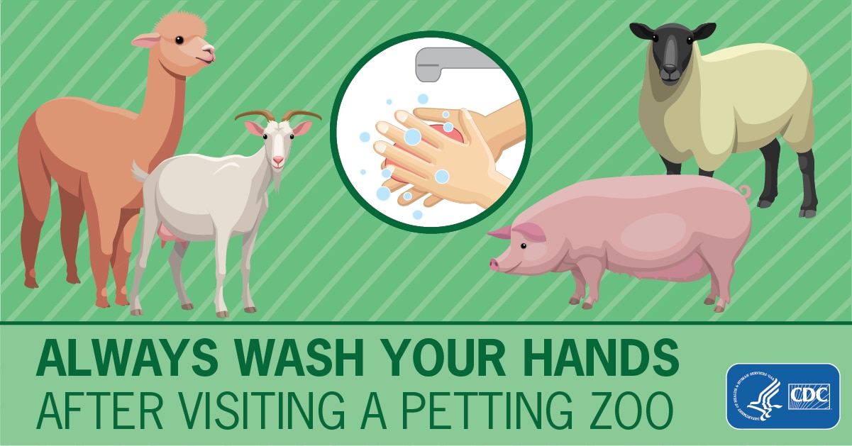 Always Wash Your Hands After Visiting a Petting Zoo for Facebook