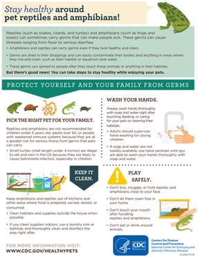 Publications Infographic cover for Stay Healthy Around Pet Reptiles And Amphibians