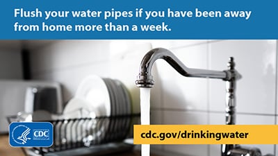 Flush your water pipes if you have been away from home more than a week