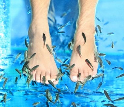 human feet in water with tiny fish swimming around them