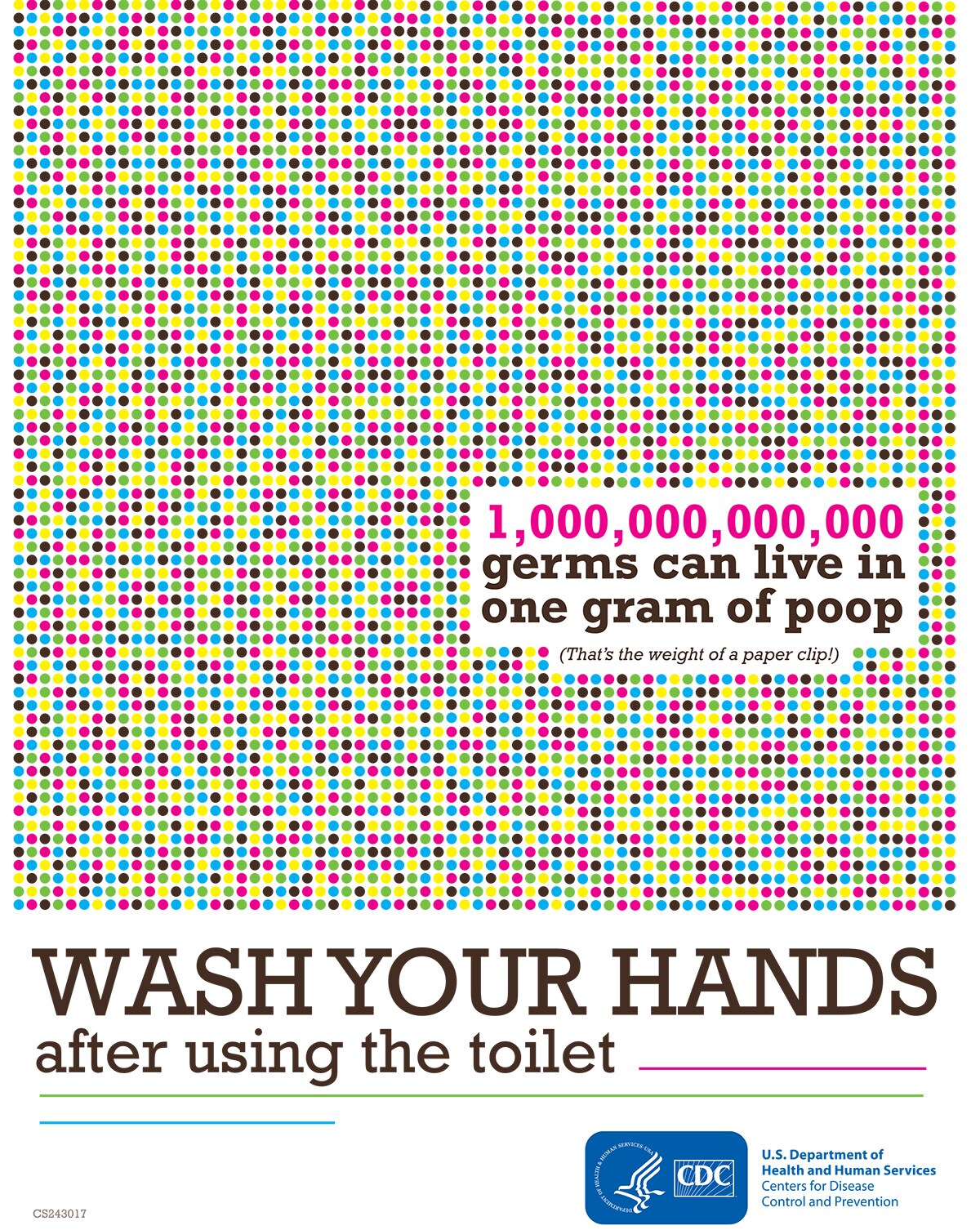 Wash your hands after using the toilet poster
