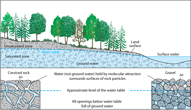 Figure detailing ground water in relation to the environment (trees, land, water surface, etc.)