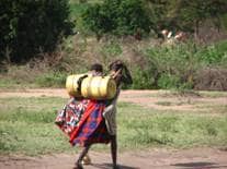 Children carrying water home in Kenya.