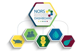 NORS Dashboard hexagonal logo with 5 branching smaller hexagons with a graphic of a turtle, two people, a toilet, a water droplet, and a stylized chicken leg representing food.