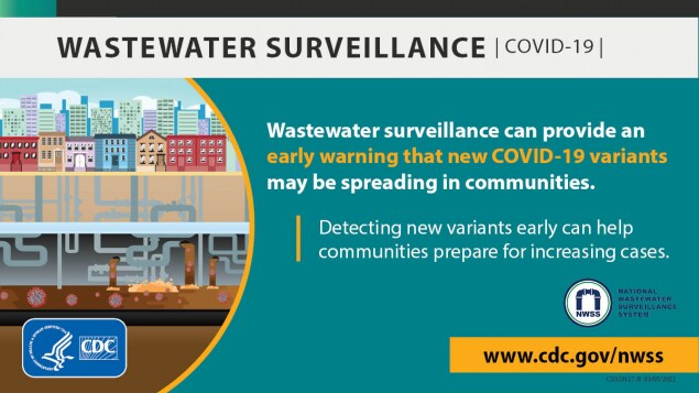 Wastewater Surveillance can provide an early warning that new Covid-19 variants may be spreading in communities - size 2