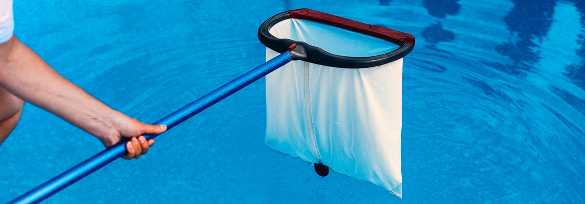 Finding a Dead Animal in the Pool | Healthy Swimming | Healthy Water | CDC