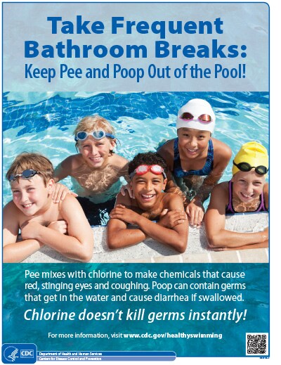 Take frequent bathroom breaks and keep pee and poop out of the pool poster