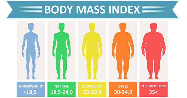 BMI Kategorien Visualisierung