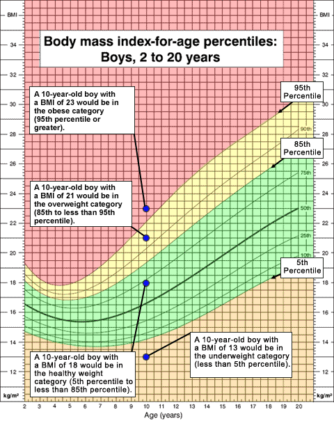 Boy Growth Chart Predictor