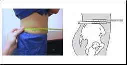 Assessing Central Obesity: Waist Circumference