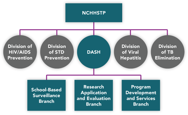 DASH Organizational chart