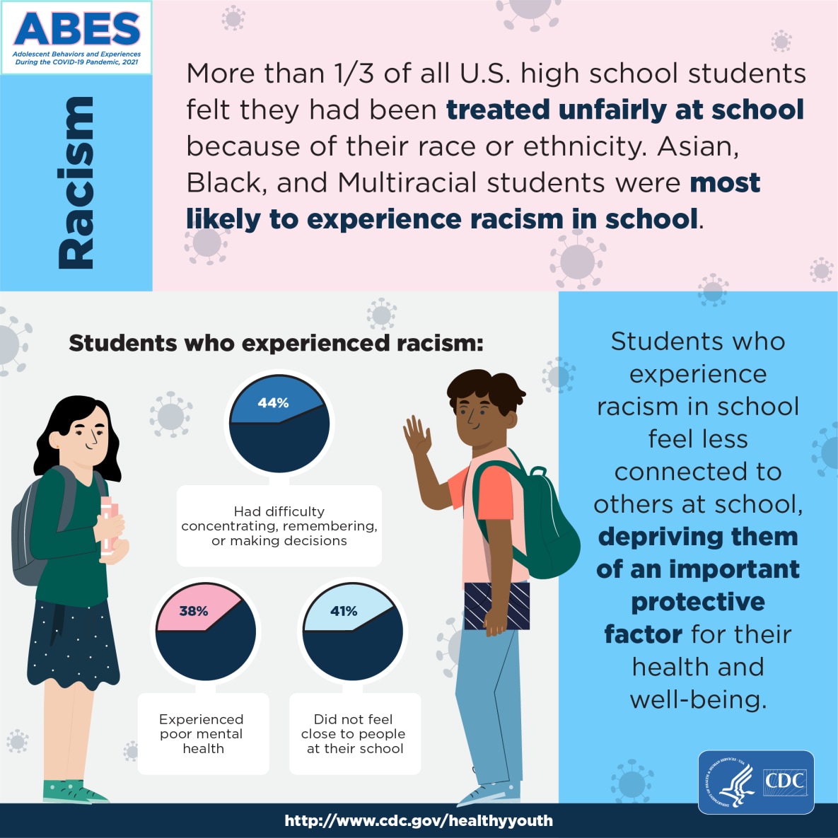 DASH ABES Social Racism Infographic