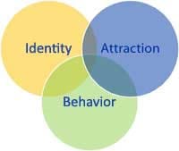 Three interconnected circles defining YMSM: Identity, Attraction and Behavior