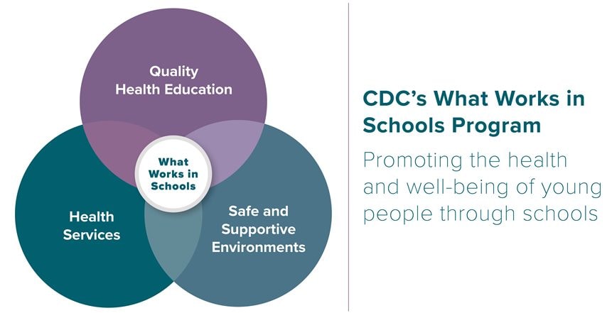 What Works in schools graphic