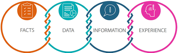 Data Decision Making infographic