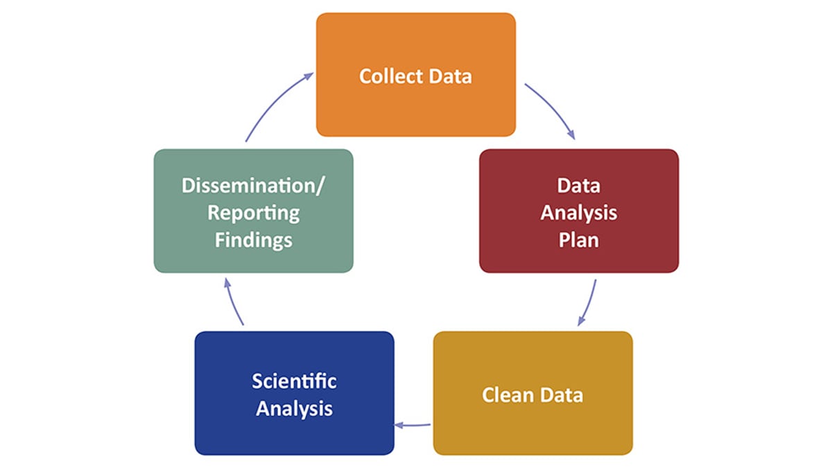 Diagram that shows the circular flow of 5 elements that are in a continuous loop. Those elements are Collect Data, Data Analysis Plan, Clean Data, Scientific Analysis, Dissemination/Reporting Findings.