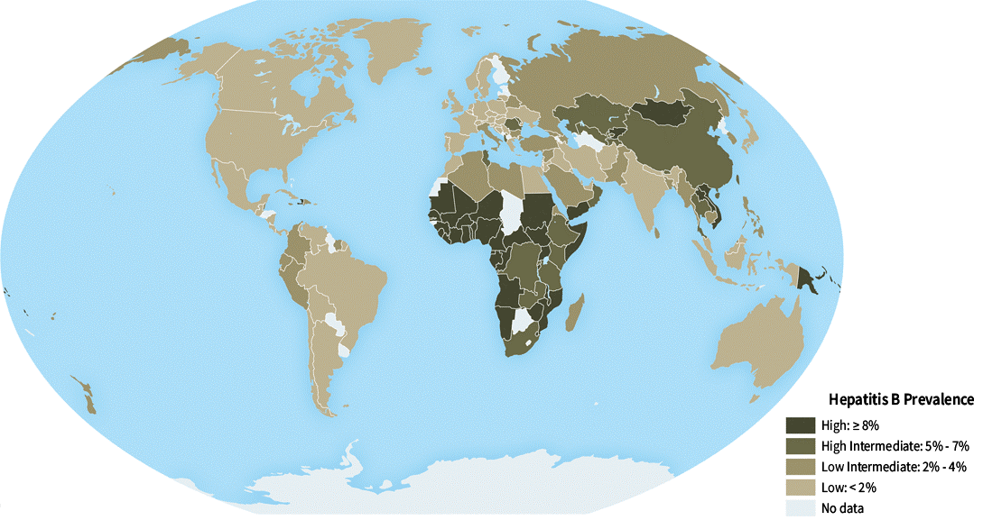 Globe map, showing Hepatitis B prevalence with five levels