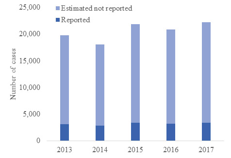 Bar chart for years 2013 through 2017. Y axis has number of cases, ranging from 0 to 25,000