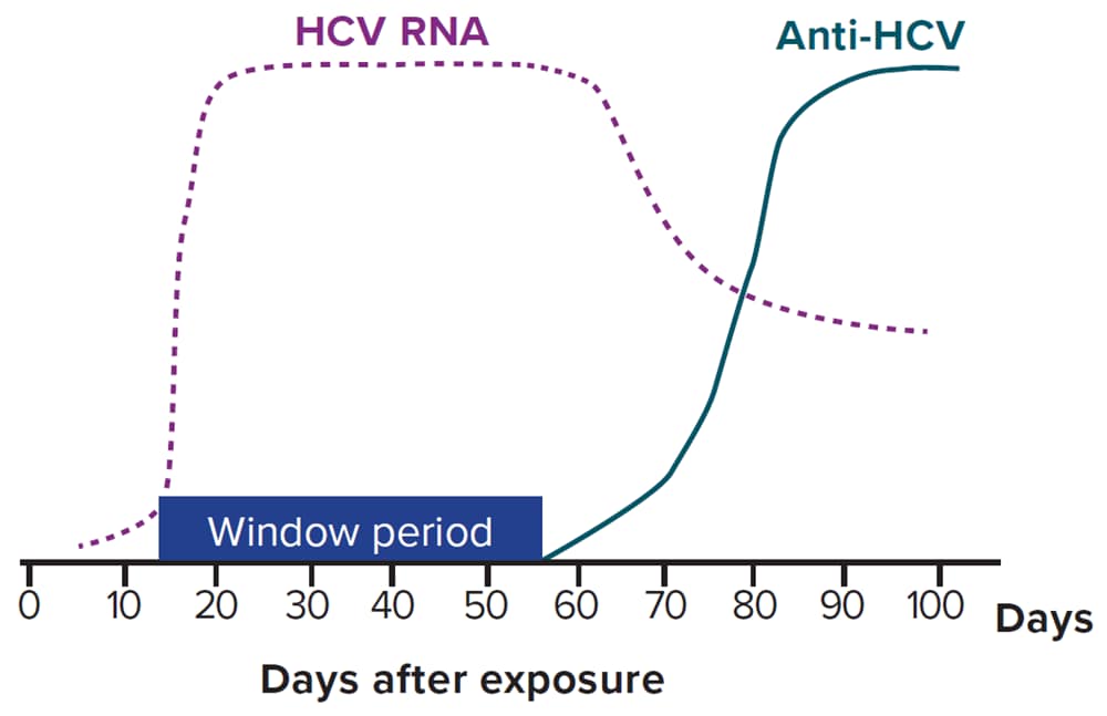 Figure 4.1 illustrates the typical serologic course of hepatitis C virus infection. There is an 8–11 week window period between exposure to hepatitis C virus and the ability to detect hepatitis C virus antibodies. Hepatitis C virus RNA may be detectable approximately 1–2 weeks after exposure.