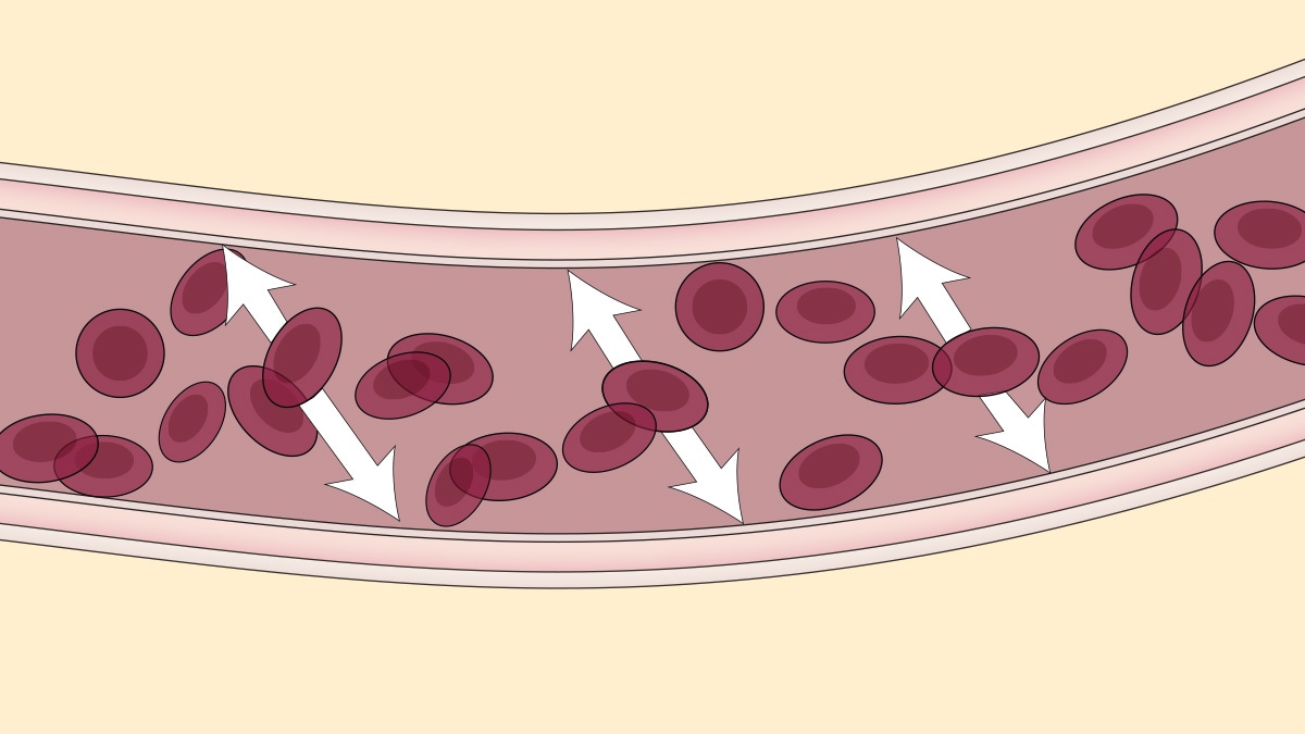 Illustration of blood flowing through a blood vessel