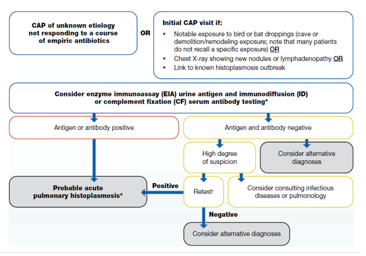 Clinical Testing Algorithm: Histoplasmosis