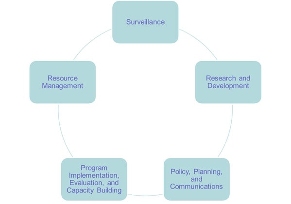 Core Functions - Circle graphic with Surveillance; Research and Development; Policy, Planning and Communications; Program implementation, evaluation and capacity building; and Resource Management