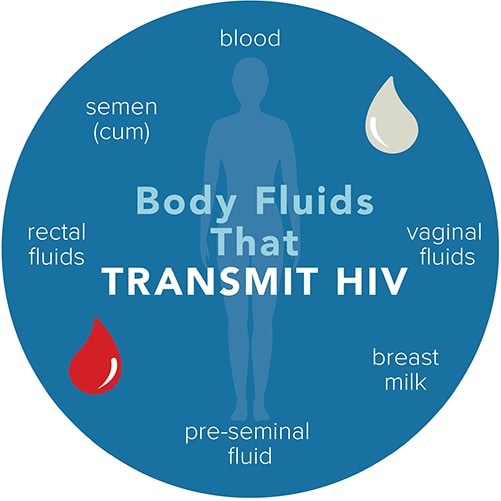 Bodily Fluids that Transmit HIV