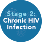 Stage 2: Chronic HIV Infection